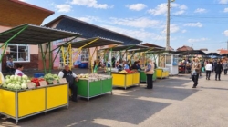 Au fost aprobate exproprierile pentru Piața Izvoare din Baia Mare, iar proiectul intră într-o nouă etapă
