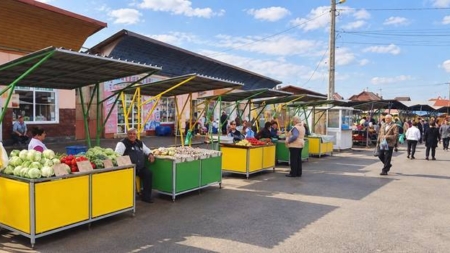 Au fost aprobate exproprierile pentru Piața Izvoare din Baia Mare, iar proiectul intră într-o nouă etapă