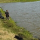 „Cupa Castanelor” îi aduce pe copii la pescuit. Concurs organizat la Balta Săcălășeni