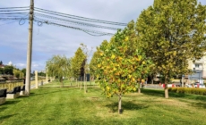 Prognoza meteo Maramureș, luni 14 septembrie 2026