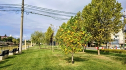 Prognoza meteo Maramureș, luni 14 septembrie 2026