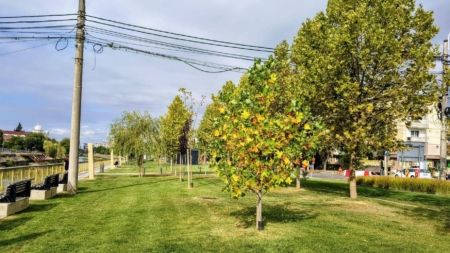 Prognoza meteo Maramureș, luni 14 septembrie 2026