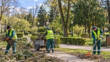 SPAU Baia Mare face angajări. Sunt disponibile 10 posturi, două fără vechime