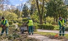 SPAU Baia Mare face angajări. Sunt disponibile 10 posturi, două fără vechime