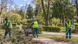 SPAU Baia Mare face angajări. Sunt disponibile 10 posturi, două fără vechime