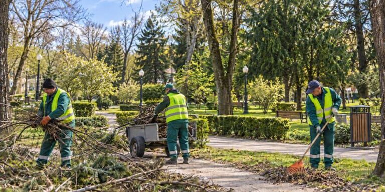 SPAU Baia Mare face angajări. Sunt disponibile 10 posturi, două fără vechime