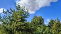 Prognoza meteo Maramureș, marți 8 septembrie 2026