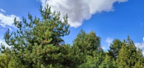 Prognoza meteo Maramureș, marți 8 septembrie 2026