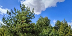 Prognoza meteo Maramureș, marți 8 septembrie 2026