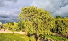 Prognoza meteo Maramureș, sâmbătă 19 septembrie 2026