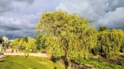 Prognoza meteo Maramureș, sâmbătă 19 septembrie 2026