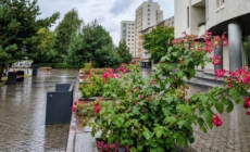 Prognoza meteo Maramureș, marți 22 septembrie 2026