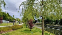 Prognoza meteo Maramureș, vineri 4 septembrie 2026