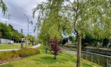Prognoza meteo Maramureș, vineri 4 septembrie 2026
