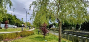 Prognoza meteo Maramureș, vineri 4 septembrie 2026