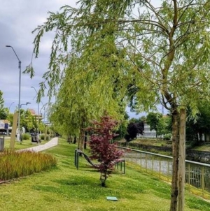 Prognoza meteo Maramureș, vineri 4 septembrie 2026
