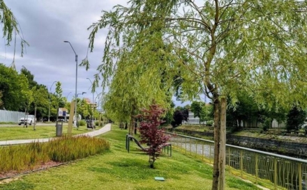 Prognoza meteo Maramureș, vineri 4 septembrie 2026