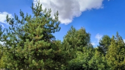 Prognoza meteo Maramureș, sâmbătă 26 septembrie 2026