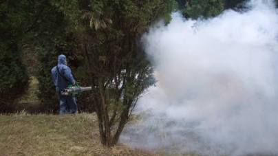 Dezinsecție în Baia Mare împotriva țânțarilor și căpușelor