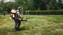 Se face dezinsecție în Tăuții-Măgherăuș; Ce zone sunt vizate
