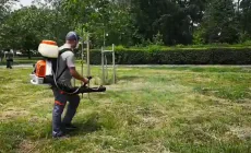 Se face dezinsecție în Tăuții-Măgherăuș; Ce zone sunt vizate