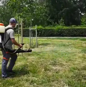 Se face dezinsecție în Tăuții-Măgherăuș; Ce zone sunt vizate