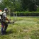 Se face dezinsecție în Tăuții-Măgherăuș; Ce zone sunt vizate