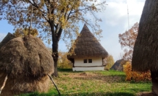 Muzeul Satului din Baia Mare își modifică programul de vizitare