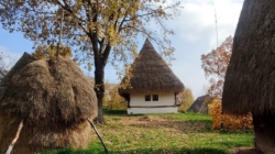 Muzeul Satului din Baia Mare își modifică programul de vizitare