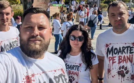 Fight for Animals Baia Mare, alături de organizații din țară la protestul pentru protecția animalelor de la București