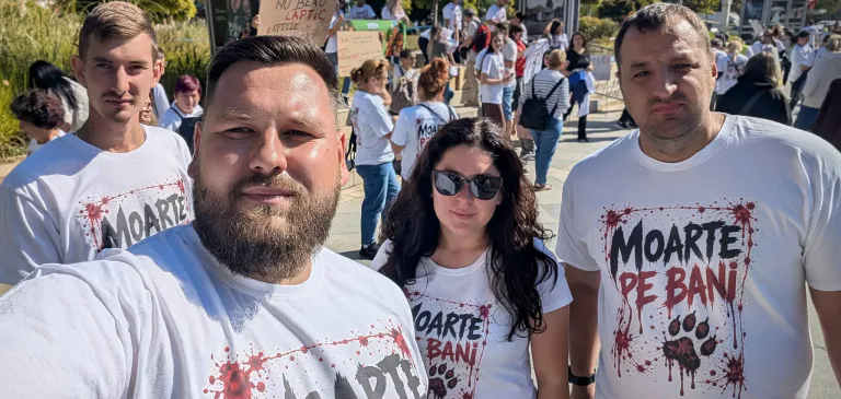 Fight for Animals Baia Mare, alături de organizații din țară la protestul pentru protecția animalelor de la București