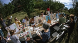 „Pictăm împreună” – două zile de culoare, creativitate și socializare la Ciolt