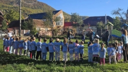 Fanfara Baia Sprie a adus muzica mai aproape de cei mici