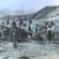 35 de fotografii și jurnalul unui soldat german, donate orașului Borșa după mai bine de 100 de ani