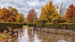 Prognoza meteo Maramureș, luni 19 octombrie 2026