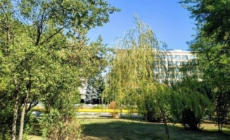 Prognoza meteo Maramureș, duminică 4 octombrie 2026