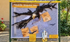 Poezia prinde culoare la Baia Sprie, în primul proiect al Asociației „Dinastia Artelor”
