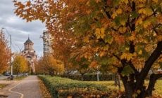 Prognoza meteo Maramureș, sâmbătă 17 octombrie 2026