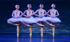 Magia baletului clasic ajunge la Baia Mare cu celebra poveste „Lacul Lebedelor”