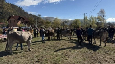 Bruna de Maramureș, la loc de cinste în Rozavlea